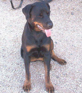 Ruby