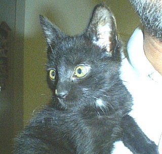 Spencer