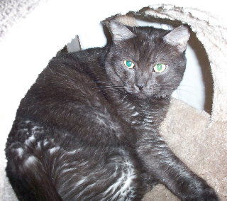 Soot