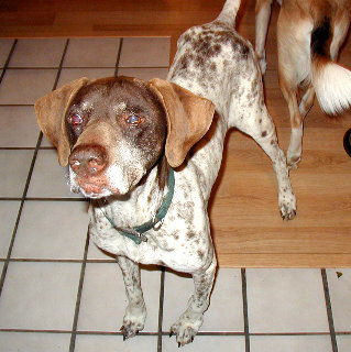 Leroy