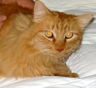 Billy