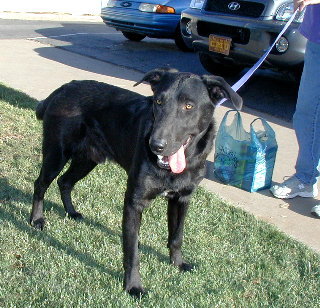 Buster