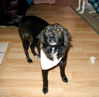 Coco