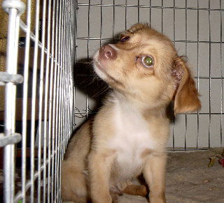 Wiley 