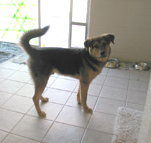 Bay - COURTESY POST