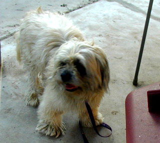 Leo