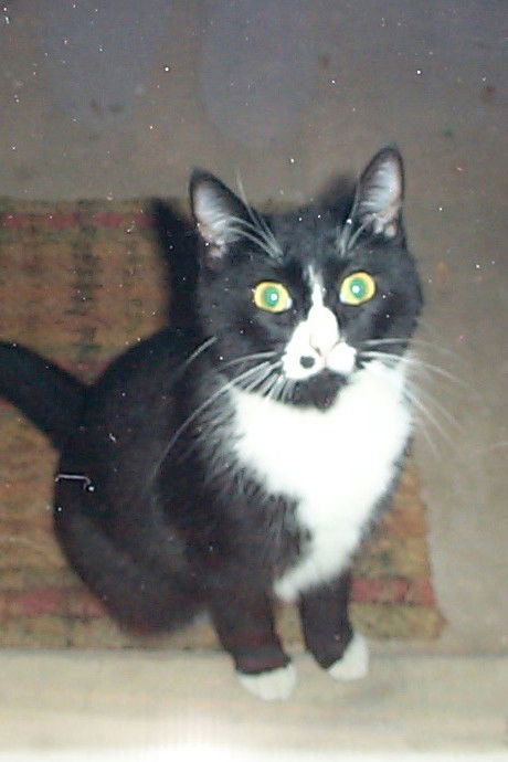 Sox - COURTESY POST