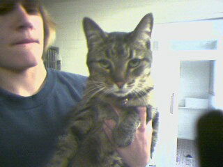 Clyde