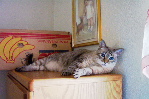 Whitney