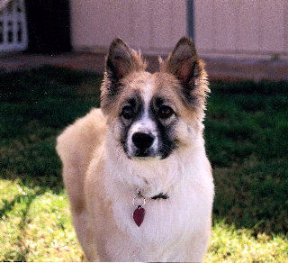 Duncan