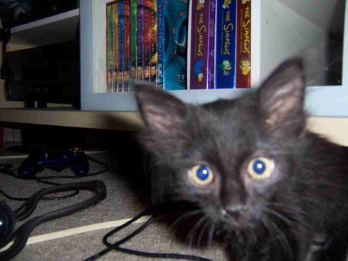 Sirius Black