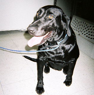Cinder