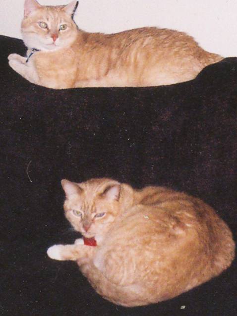 Chauncey & Bailey