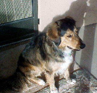 Charlie