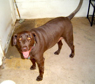 Benny - Courtesy Post
