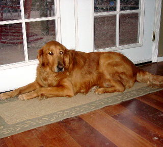 Clifford - Courtesy Post