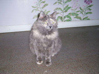 Dutchess - COURTESY POST