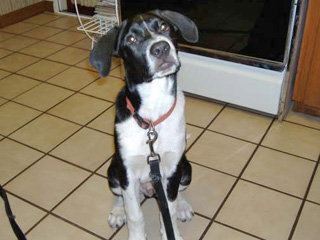 Buster