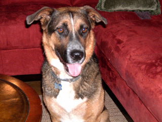 Rudy - Courtesy Post