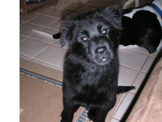 Lilly