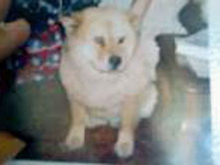 Chyna - Courtesy Post                 URGENT