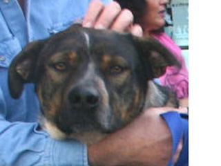 Duncan - Courtesy Post