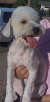Romeo