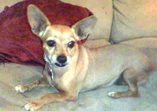 Rosie