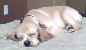 Dudley
