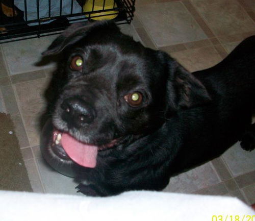 Baxter