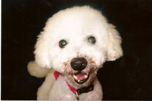Ryley