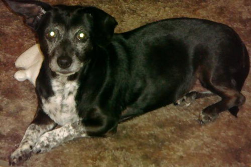 Betty
