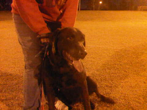 Charlie