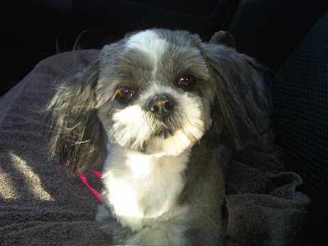Lil' Missy