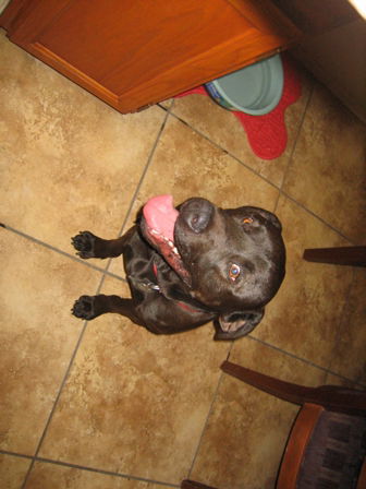 Duke