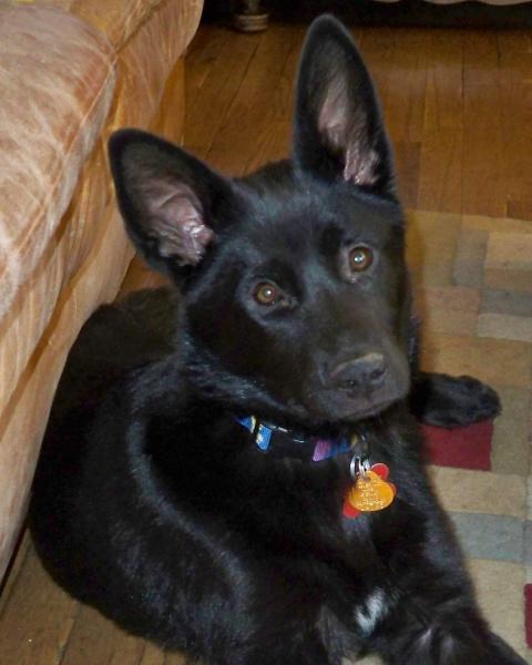 Nora