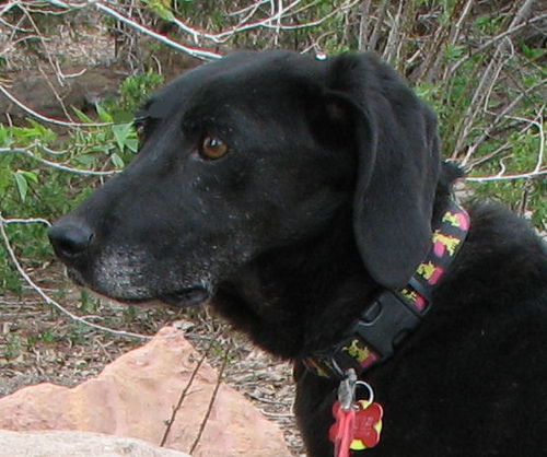 Ruby