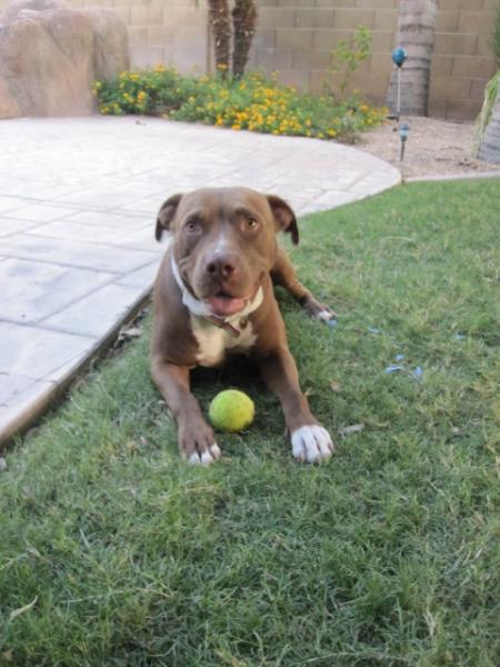 Maggie