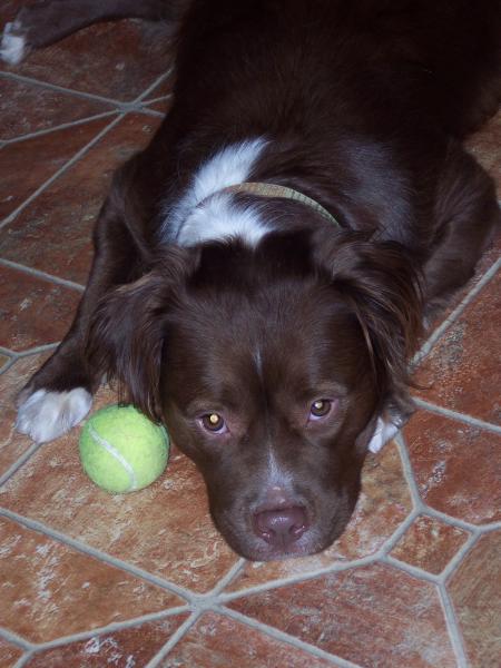 Roxy