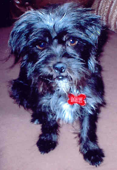 Rosie