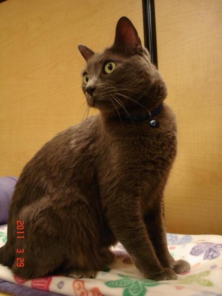 Boris