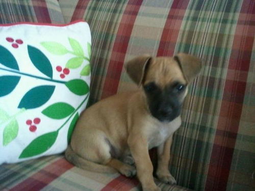 Starbuck