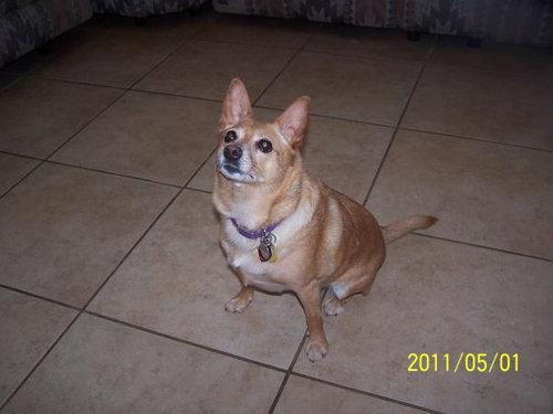 Bella