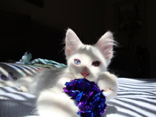 Chloe