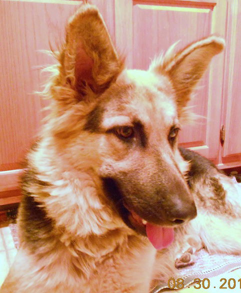 Cheyenne