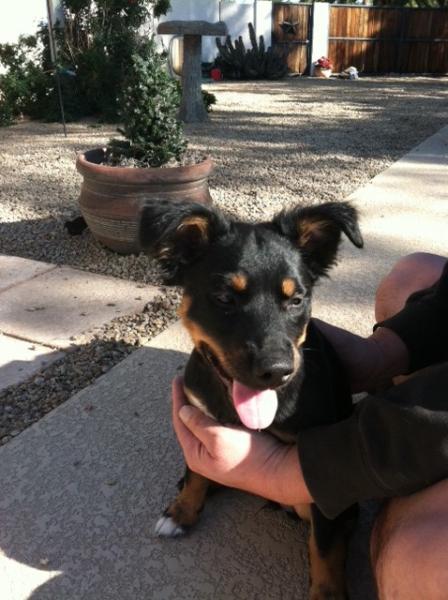 Sookie
