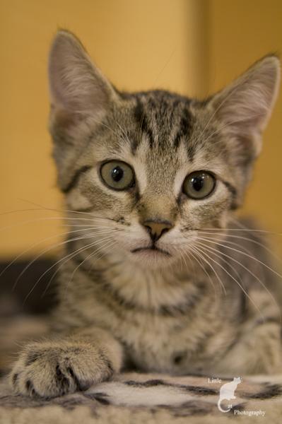 Leroy