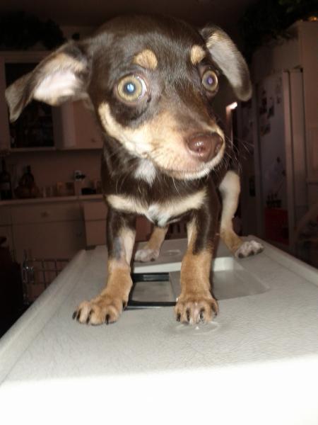 Lilah