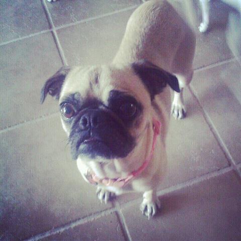 Lily Grace
