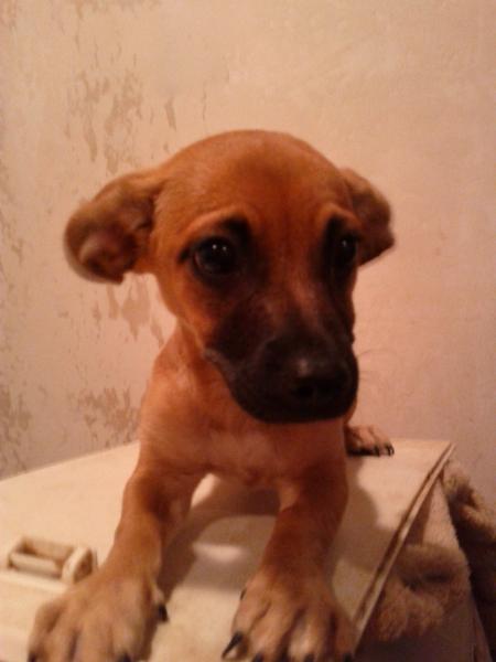 Coco